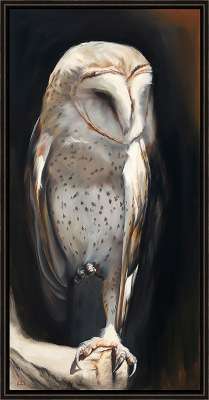 A Light in Dark Places (Barn Owl)